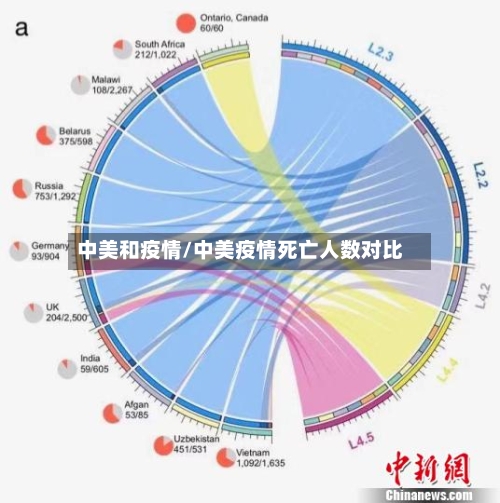 中美和疫情/中美疫情死亡人数对比-第2张图片