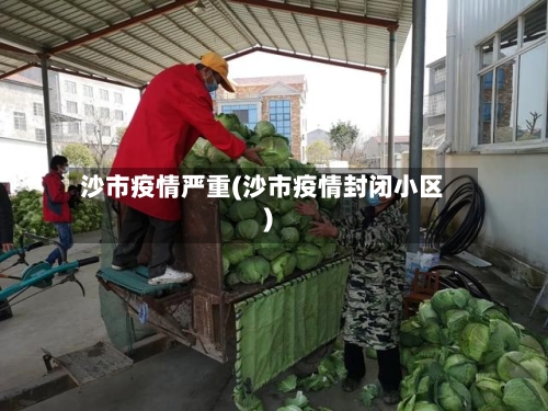 沙市疫情严重(沙市疫情封闭小区)-第2张图片