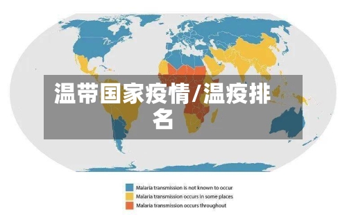 温带国家疫情/温疫排名
