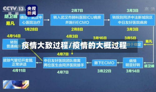疫情大致过程/疫情的大概过程