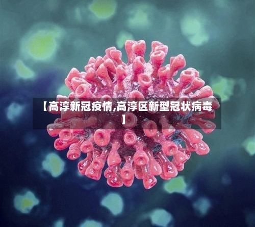 【高淳新冠疫情,高淳区新型冠状病毒】