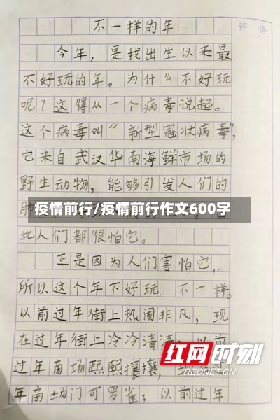 疫情前行/疫情前行作文600字