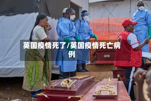 英国疫情死了/英国疫情死亡病例-第3张图片