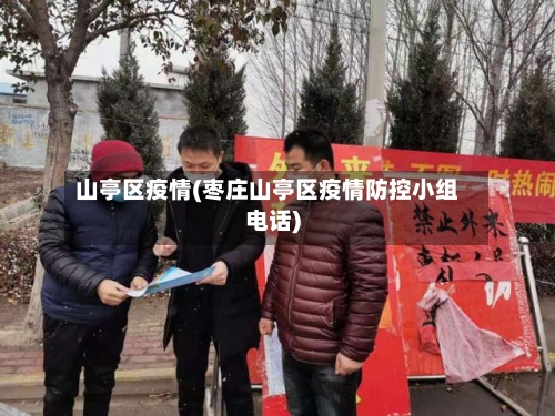 山亭区疫情(枣庄山亭区疫情防控小组电话)-第2张图片