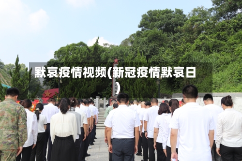 默哀疫情视频(新冠疫情默哀日)-第2张图片