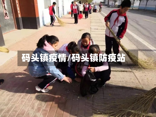 码头镇疫情/码头镇防疫站-第3张图片