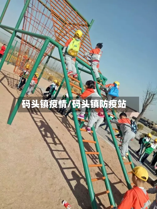码头镇疫情/码头镇防疫站