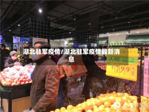 湖北驻军疫情/湖北驻军疫情最新消息-第2张图片