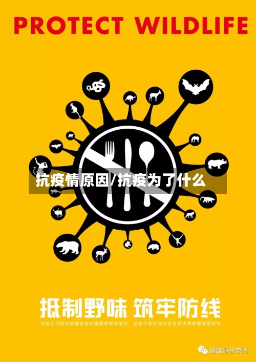 抗疫情原因/抗疫为了什么-第2张图片