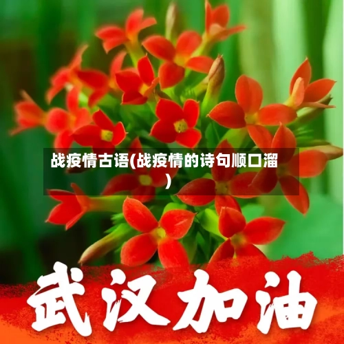 战疫情古语(战疫情的诗句顺口溜)-第3张图片