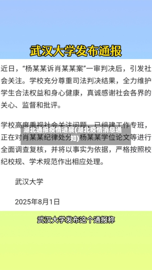 湖北通报疫情进展(湖北疫情消息通知)-第2张图片
