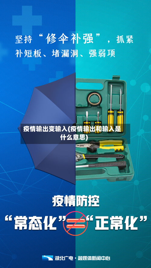 疫情输出变输入(疫情输出和输入是什么意思)