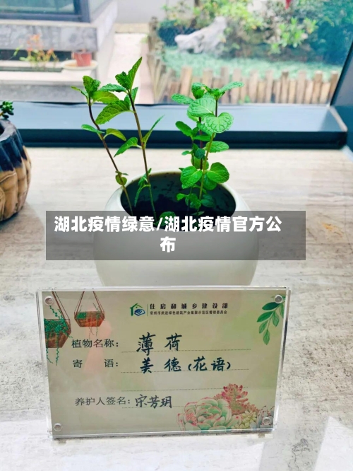 湖北疫情绿意/湖北疫情官方公布-第2张图片