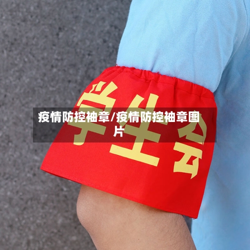 疫情防控袖章/疫情防控袖章图片