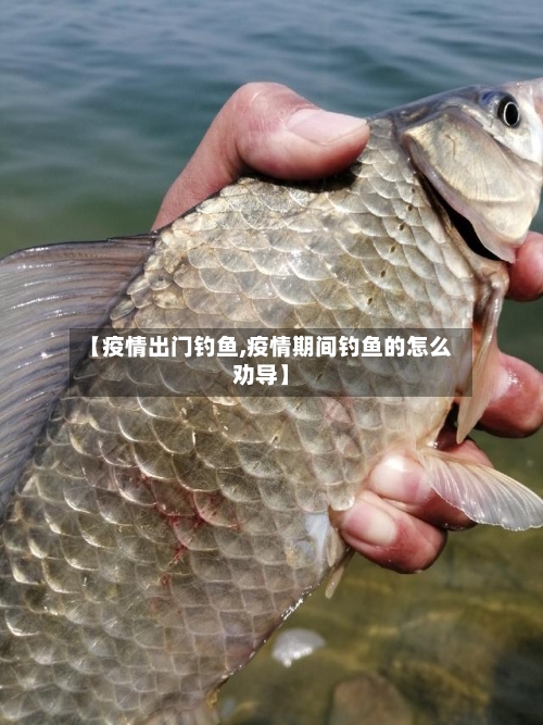 【疫情出门钓鱼,疫情期间钓鱼的怎么劝导】