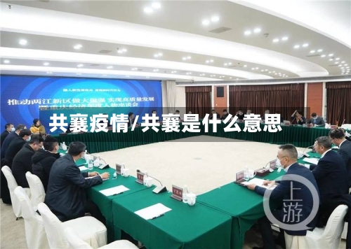 共襄疫情/共襄是什么意思-第2张图片