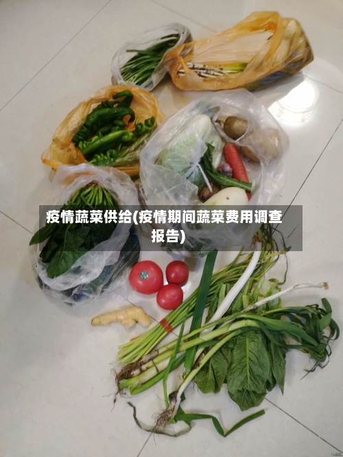 疫情蔬菜供给(疫情期间蔬菜费用调查报告)