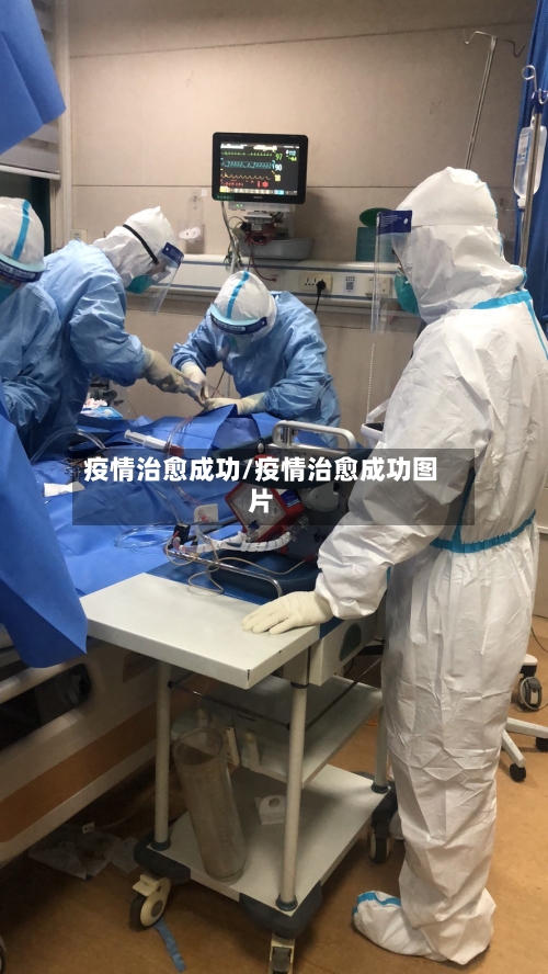 疫情治愈成功/疫情治愈成功图片-第2张图片