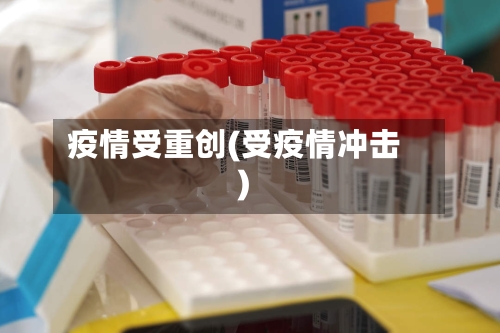 疫情受重创(受疫情冲击)