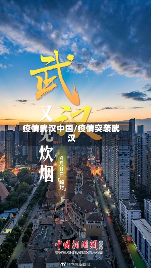 疫情武汉中国/疫情突袭武汉-第3张图片