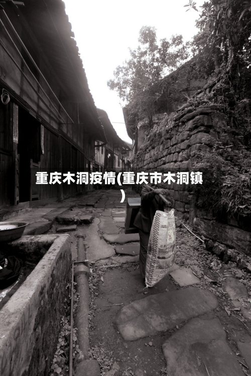 重庆木洞疫情(重庆市木洞镇)