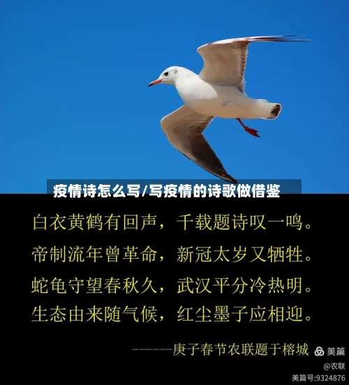 疫情诗怎么写/写疫情的诗歌做借鉴-第3张图片