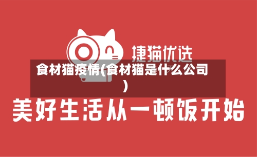 食材猫疫情(食材猫是什么公司)