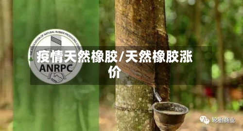 疫情天然橡胶/天然橡胶涨价