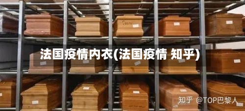 法国疫情内衣(法国疫情 知乎)-第2张图片