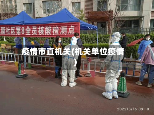 疫情市直机关(机关单位疫情)-第2张图片