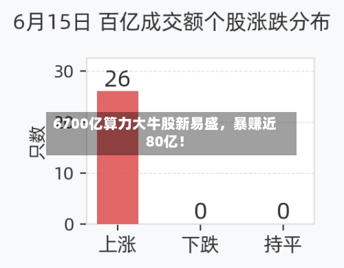 6700亿算力大牛股新易盛，暴赚近80亿！