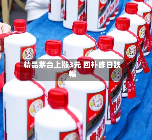 精品茅台上涨3元 回补昨日跌幅