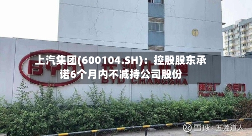 上汽集团(600104.SH):控股股东承诺6个月内不减持公司股份-第2张图片
