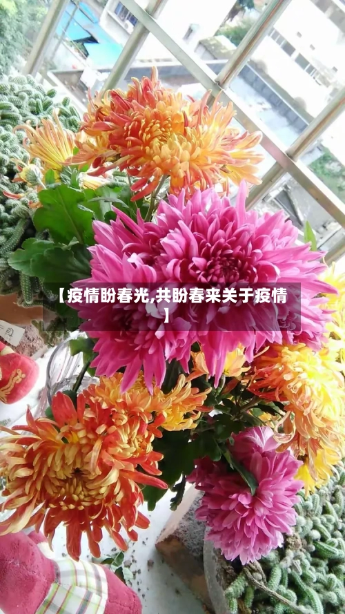 【疫情盼春光,共盼春来关于疫情】-第2张图片