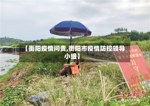 【衡阳疫情问责,衡阳市疫情防控领导小组】-第2张图片