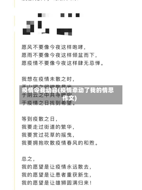 疫情令我动容(疫情牵动了我的情思作文)