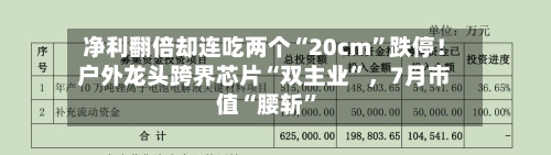 净利翻倍却连吃两个“20cm”跌停！户外龙头跨界芯片“双主业”，7月市值“腰斩	”-第2张图片