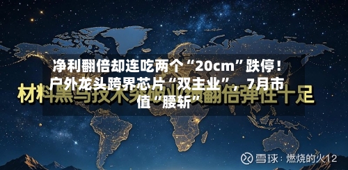 净利翻倍却连吃两个“20cm”跌停！户外龙头跨界芯片“双主业”	，7月市值“腰斩	”-第3张图片