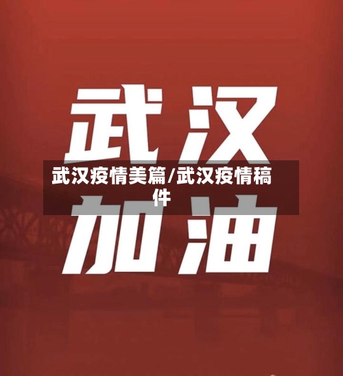 武汉疫情美篇/武汉疫情稿件-第2张图片
