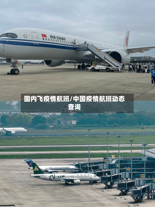 国内飞疫情航班/中国疫情航班动态查询