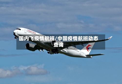 国内飞疫情航班/中国疫情航班动态查询-第3张图片