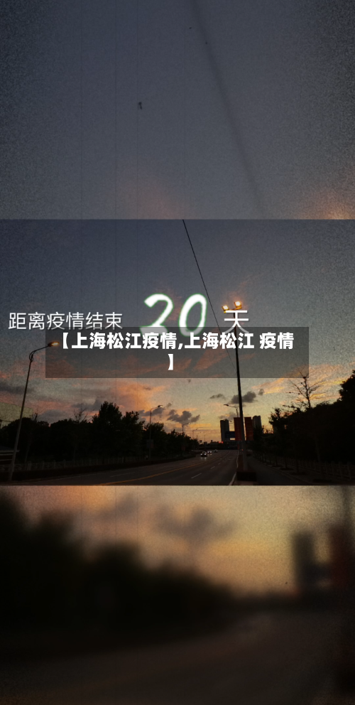 【上海松江疫情,上海松江 疫情】-第2张图片