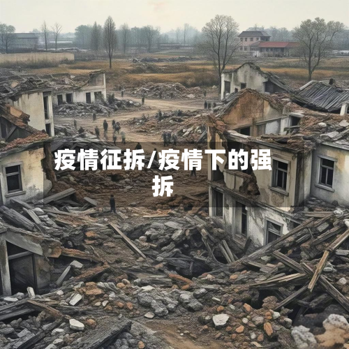疫情征拆/疫情下的强拆