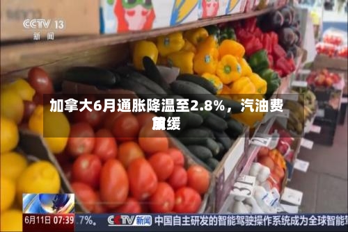 加拿大6月通胀降温至2.8%，汽油费用放缓-第2张图片