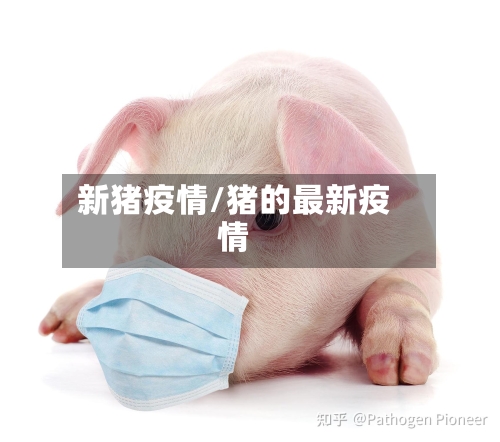 新猪疫情/猪的最新疫情-第2张图片