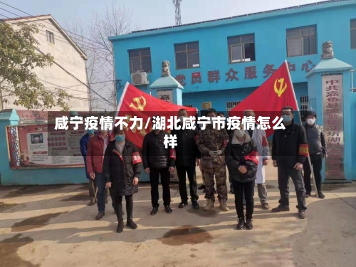 咸宁疫情不力/湖北咸宁市疫情怎么样-第2张图片