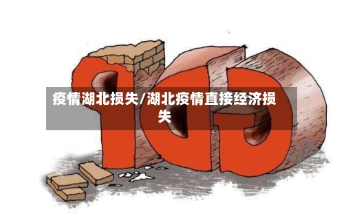 疫情湖北损失/湖北疫情直接经济损失