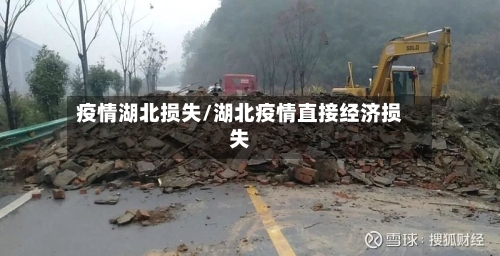 疫情湖北损失/湖北疫情直接经济损失-第2张图片