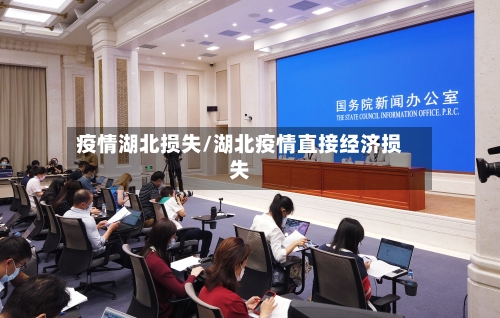 疫情湖北损失/湖北疫情直接经济损失-第3张图片