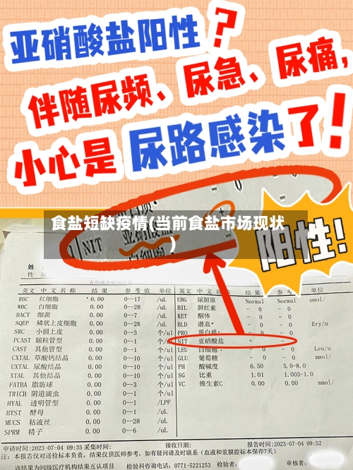 食盐短缺疫情(当前食盐市场现状)